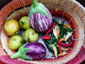 Grow your food - Vegetable Basket by Edible Gardens