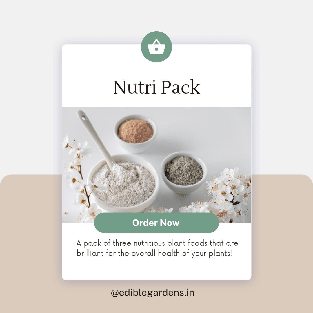 Nutri Pack by Edible Gardens