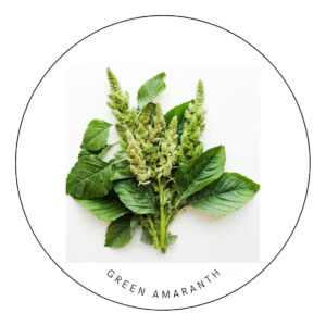 green amaranth seeds for kitchen gardeners