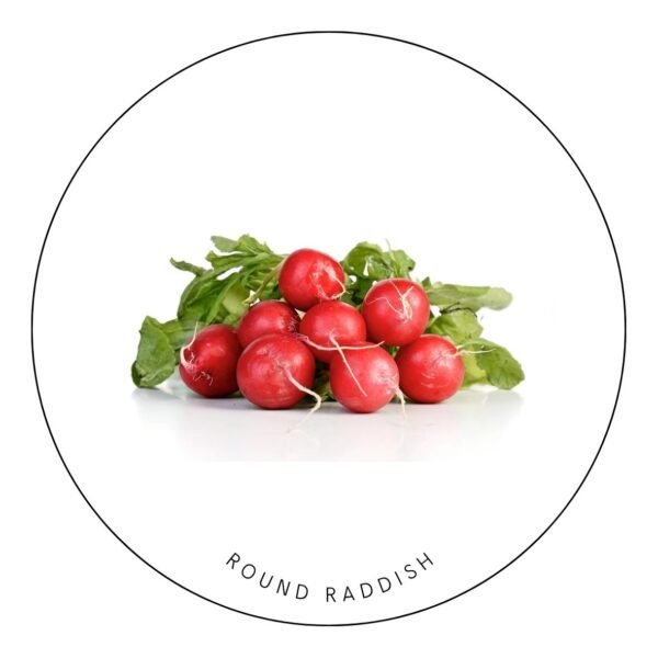Round Raddish seeds