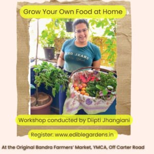 Gardening Workshop in Mumbai on Women's Day 8th March
